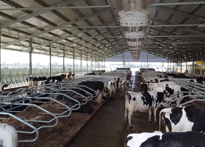 2025-10-14-12-23-24-636