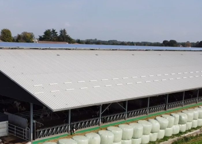 Immagine 2025-10-17 180843 (1)