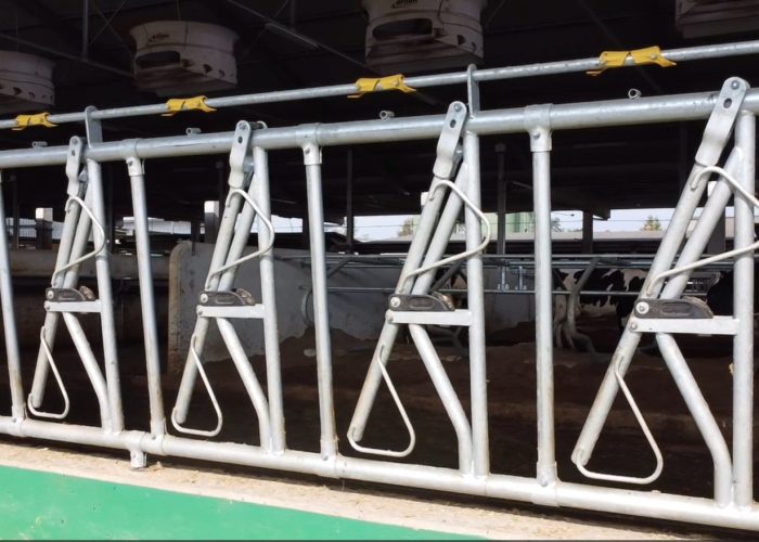 Immagine 2025-10-18 130209