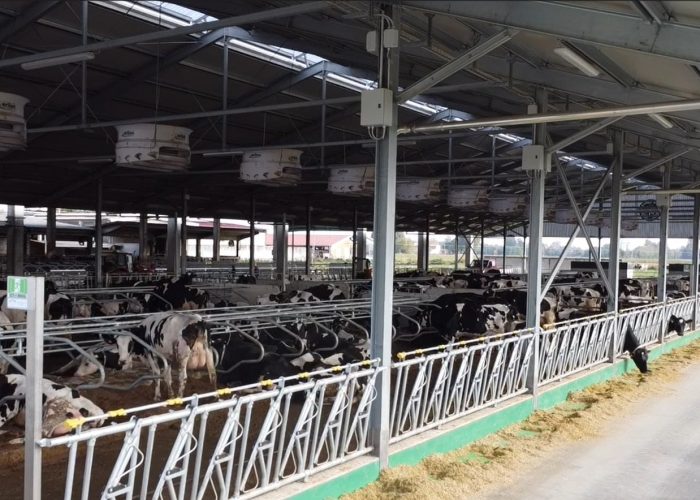 Immagine 2025-10-19 111651