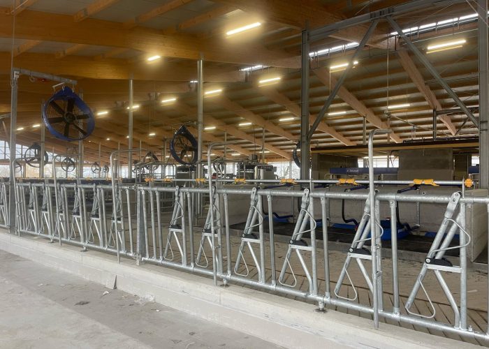 Immagine WhatsApp 2025-10-08 ore 08.29.17_fbe1b220