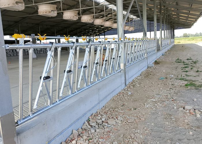 Immagine WhatsApp 2025-10-08 ore 08.29.44_6b2bca52