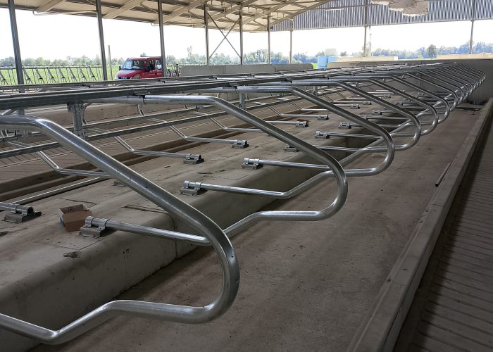 Immagine WhatsApp 2025-10-08 ore 08.29.45_75110fc4