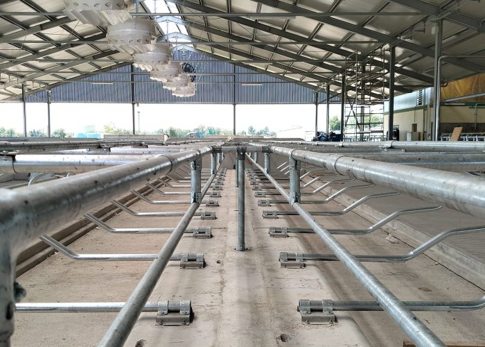 Immagine WhatsApp 2025-10-08 ore 08.29.46_4727bdfc