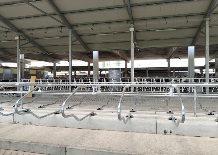 Immagine WhatsApp 2025-10-08 ore 08.29.46_b256f020