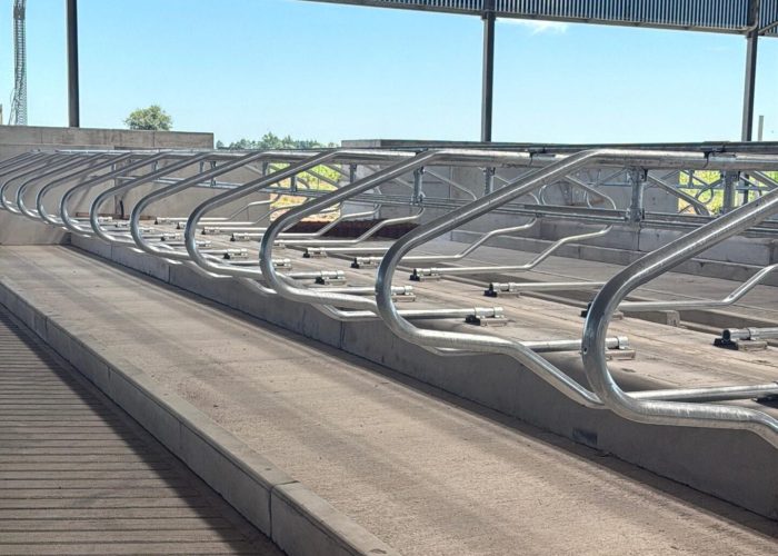 Immagine WhatsApp 2025-10-10 ore 14.48.01_b860e270